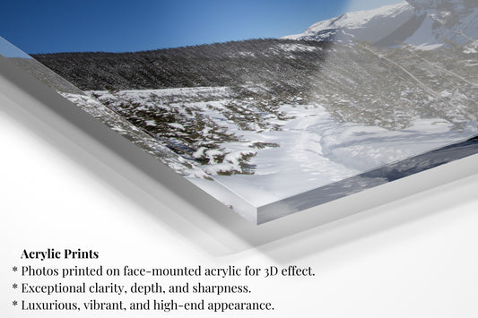 Canadian Snow Walk - Horizontal Landscape Print