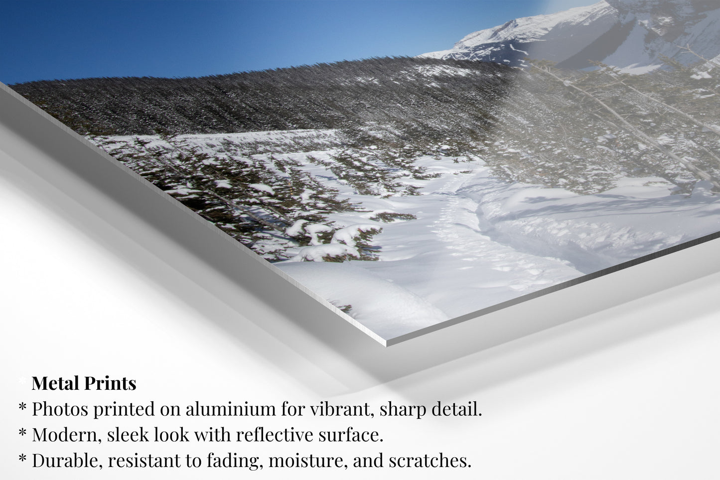 Canadian Snow Walk - Horizontal Landscape Print