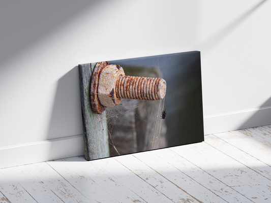 Scarlet Ladybug - Horizontal Landscape Print