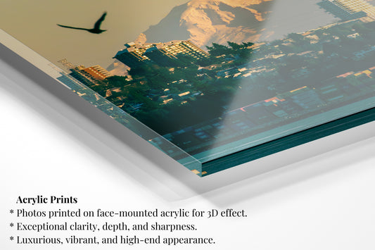 Vancouver Cityglow Sunset - Vertical Wildlife Photo