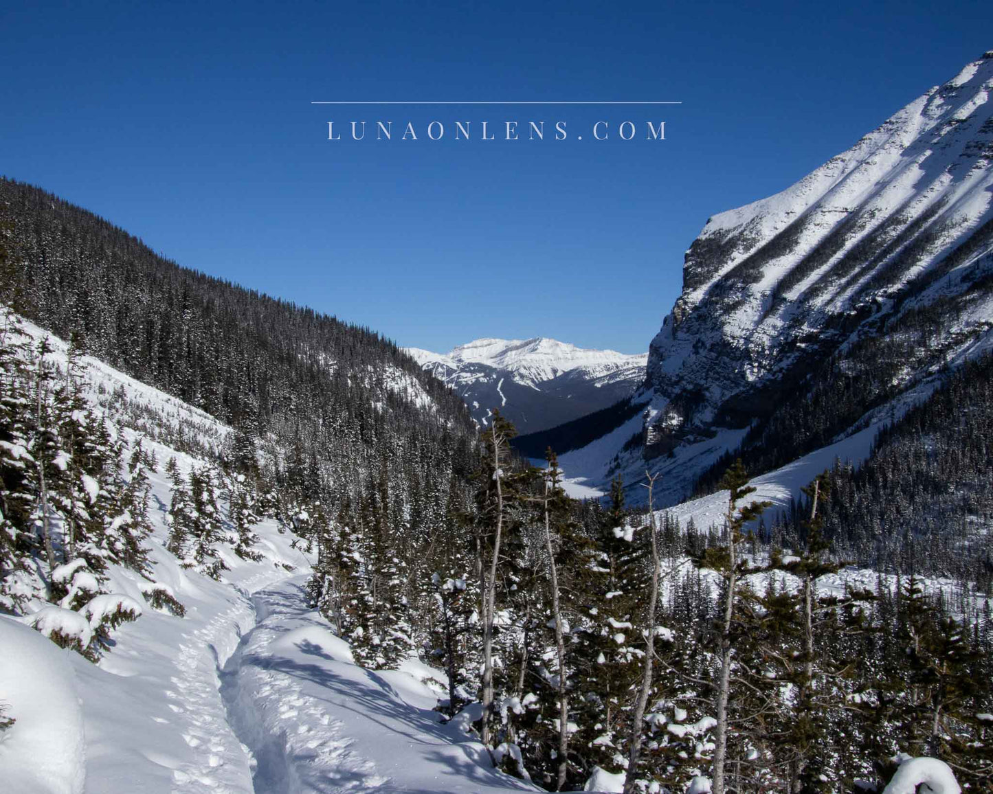 Canadian Snow Walk - Horizontal Landscape Print