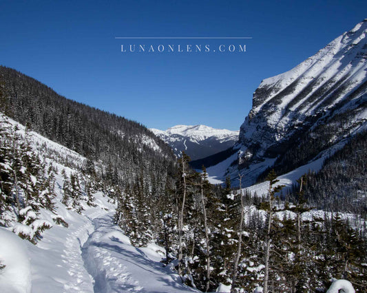 Canadian Snow Walk - Horizontal Landscape Print